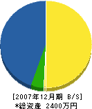 辻工務店 貸借対照表 2007年12月期