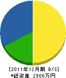 シオノ電気 貸借対照表 2011年12月期