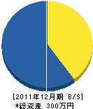 池田水道 貸借対照表 2011年12月期
