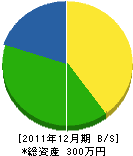 平田工業所 貸借対照表 2011年12月期