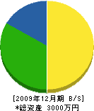城武水道 貸借対照表 2009年12月期