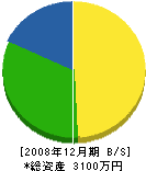 城武水道 貸借対照表 2008年12月期