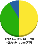 日本地下防水工業 貸借対照表 2011年12月期