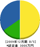 吉永造園 貸借対照表 2009年12月期