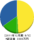 颯栄工業 貸借対照表 2011年12月期