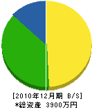 タツヤマ組 貸借対照表 2010年12月期