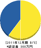 田良尾電気商会 貸借対照表 2011年12月期