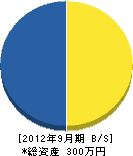 田中組 貸借対照表 2012年9月期