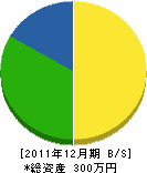 田辺造園 貸借対照表 2011年12月期