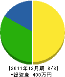 平戸電工社 貸借対照表 2011年12月期