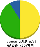 松岡組 貸借対照表 2009年12月期