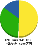 山敬建設 貸借対照表 2009年6月期