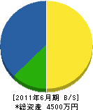 奈良工務所 貸借対照表 2011年6月期