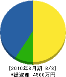 奈良工務所 貸借対照表 2010年6月期
