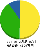 松岡特殊資材 貸借対照表 2011年12月期