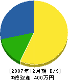 ユタカ興産 貸借対照表 2007年12月期