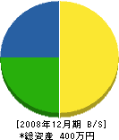 箱田工務所 貸借対照表 2008年12月期