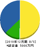 竹重工業 貸借対照表 2010年12月期