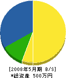 鶴ヶ崎住宅 貸借対照表 2008年5月期