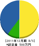 坂田造園 貸借対照表 2011年12月期