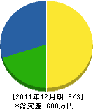 斉須塗装 貸借対照表 2011年12月期