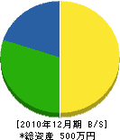 上野造建 貸借対照表 2010年12月期