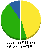 野上鉄工所 貸借対照表 2009年12月期