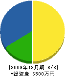 稲田電気商会 貸借対照表 2009年12月期