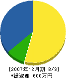 入江土木 貸借対照表 2007年12月期