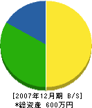 三井水道設備 貸借対照表 2007年12月期