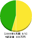 旭技研 貸借対照表 2009年6月期