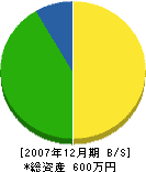 宮崎塗装店 貸借対照表 2007年12月期