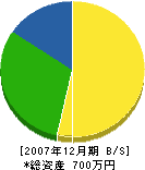 大山電気商会 貸借対照表 2007年12月期