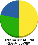 上村建築 貸借対照表 2010年12月期