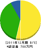 園田電気工事店 貸借対照表 2011年12月期