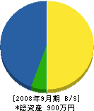 瀬戸山建設 貸借対照表 2008年9月期