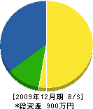 村川緑宝園 貸借対照表 2009年12月期