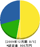 大工家宮建 貸借対照表 2009年12月期 大工家宮建 貸借対照表 2009年12月期