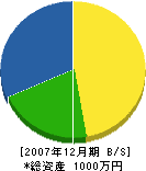 日興電機商会 貸借対照表 2007年12月期