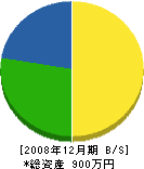 永電社 貸借対照表 2008年12月期