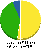 松村建設 貸借対照表 2010年12月期