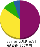 澤田建材 貸借対照表 2011年12月期