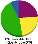 亀井工業 貸借対照表 2009年5月期