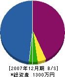 澤田工務店 貸借対照表 2007年12月期