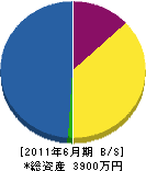 今井雅石園植木 貸借対照表 2011年6月期