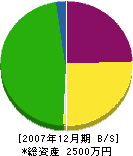 斉藤工業 貸借対照表 2007年12月期