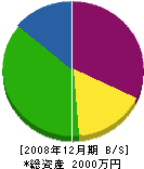 鈴木電気工業所 貸借対照表 2008年12月期