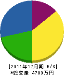 阪祥建業 貸借対照表 2011年12月期