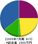 椎名造園 貸借対照表 2009年7月期