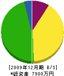 竹中左官 貸借対照表 2009年12月期